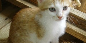 IMG_20191119_WA0014_2_1575020876