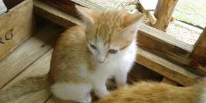 IMG_20191119_WA0015_1575020877