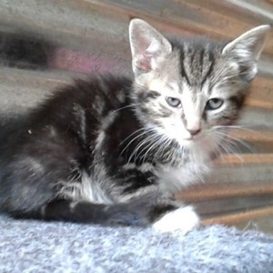 IMG_20191120_WA0006_2_1575020947