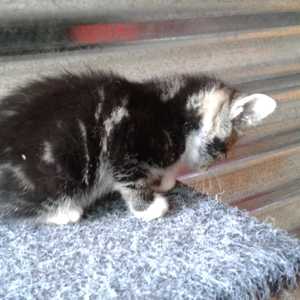 IMG_20191120_WA0007_1575020875