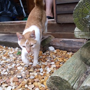 IMG_20190317_103449_1575021244