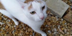 IMG_20190317_103510_1575021245