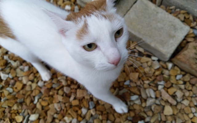 IMG_20190317_103510_1575021245