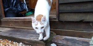 IMG_20190317_103639_1575021246