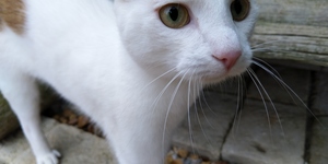 IMG_20190317_103643_1575021247