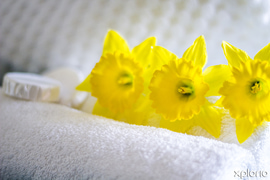 Why use Professionals for your Industrial Laundry Services?