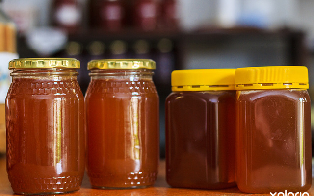 napier_specility_shops_die_melkstal_honey_1575442840