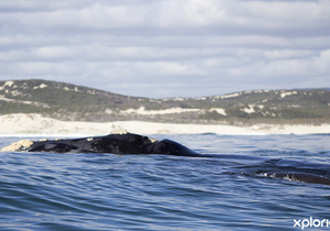 Closed 12 December 2019 - 1 June 2020