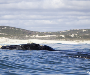 Closed 12 December 2019 - 1 June 2020