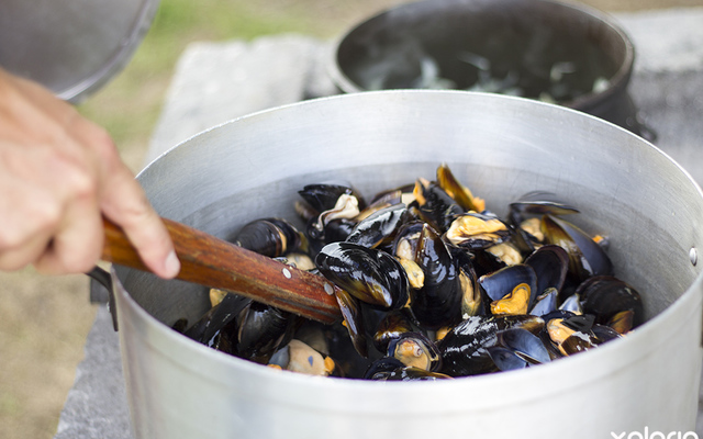 hermanus_restaurant_de_vette_mossel_messels_in_shell_1551175344_1575523508