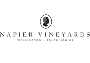 What's happening at Wine and Co. 6 December 2019