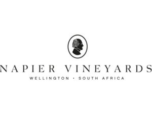 What's happening at Wine and Co. 6 December 2019