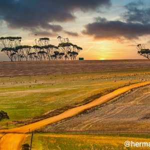 26nov19_8_1575547087