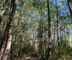 New MTB Trails Opening - 16 December 2019