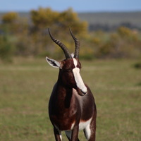 Bredasdorp - Nuwejaars Special Management Area 