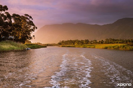 Lady_stanford_sunset_1575894490