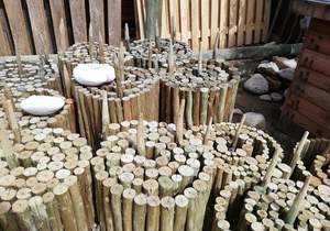 Produkte Beskikbaar byÂ Fynbos Pole Depot Hermanus