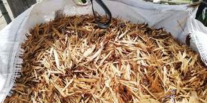 WhatsApp_Image_2019_12_10_at_08.14.37_1575969916