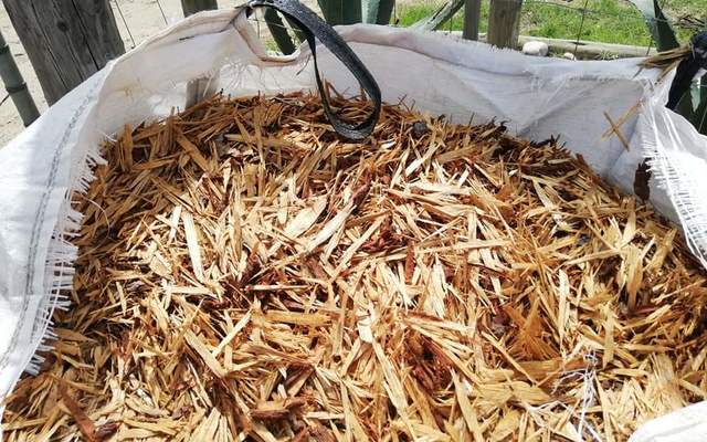 WhatsApp_Image_2019_12_10_at_08.14.37_1575969916