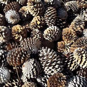 WhatsApp_Image_2019_12_10_at_08.14.39_1575969914