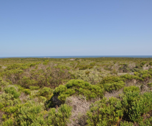 1200 mÂ² Residential Vacant Land For Sale In Romansbaai Estate