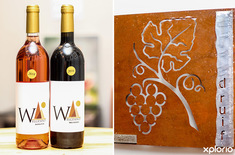 stanford_wine_farm_welgesind_wine_estate_wine_selection_1576136164