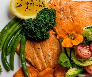 Festive Season Information