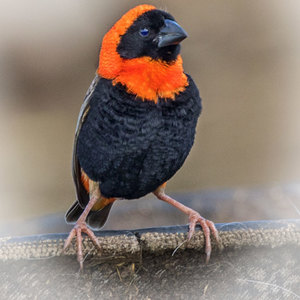 out16_1542796945_1576758979