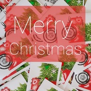 Digit will be operating during the Festive Season!