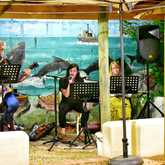 Entertainment - La Trattoria - Stanford