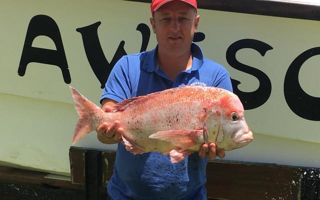 WhatsApp_Image_2019_12_21_at_12.42.54_1577093992