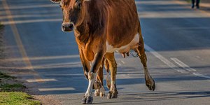 18aug19rushhour1_1577099065