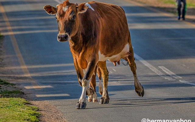 18aug19rushhour1_1577099065 18aug19rushhour1_1577099065