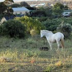 Top Attractions in Napier