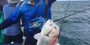 WhatsApp_Image_2019_12_24_at_09.30.18_1577181427