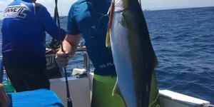 WhatsApp_Image_2019_12_24_at_09.30.18_1__1577181427