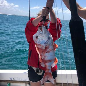 WhatsApp_Image_2019_12_27_at_15.51.08_1577694746