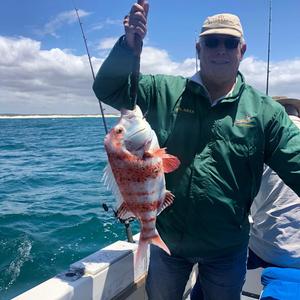 WhatsApp_Image_2019_12_27_at_15.51.08_1_1577694747