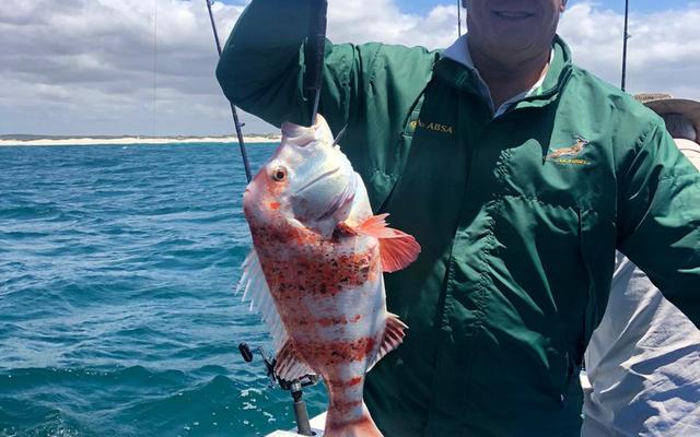 WhatsApp_Image_2019_12_27_at_15.51.08_1_1577694747