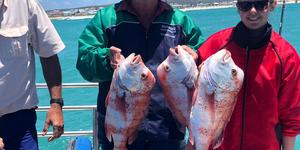 WhatsApp_Image_2019_12_27_at_15.51.09_1577694747