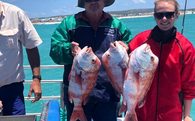 WhatsApp_Image_2019_12_27_at_15.51.09_1577694747