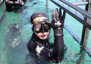 Daily Blog 31 December 2019 | White Shark Diving Gansbaai