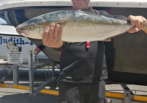 Recent Fishing Charter Trips
