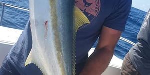 81728559_3002956926404450_4167053424644325376_o_1578297786