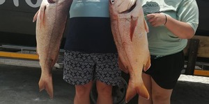 81555348_3009324919100984_7433475301356601344_n_1578461816