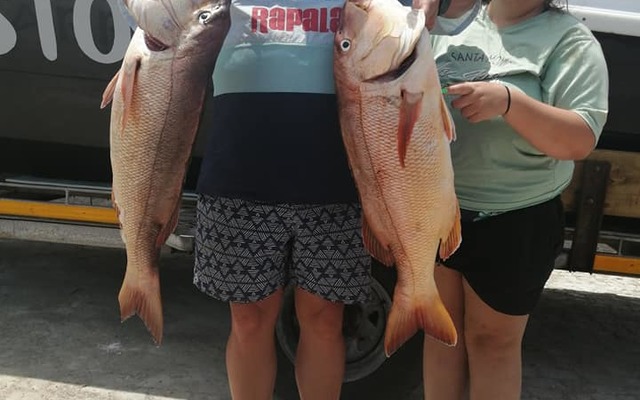 81555348_3009324919100984_7433475301356601344_n_1578461816