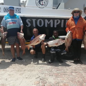 81568513_3009324692434340_3702189370233585664_n_1578461815