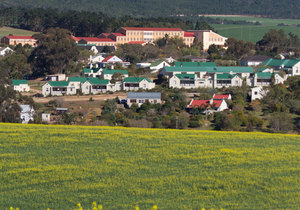 Why You Should Retire In Napier