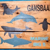 Your Ideas are Our Creations - M+S Designs - Gansbaai