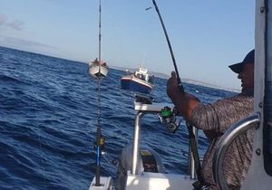 Successful Catches - 12 January 2020